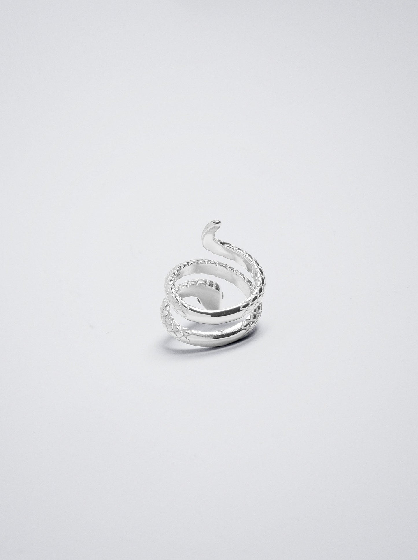 Stainless Steel Ring With Snake