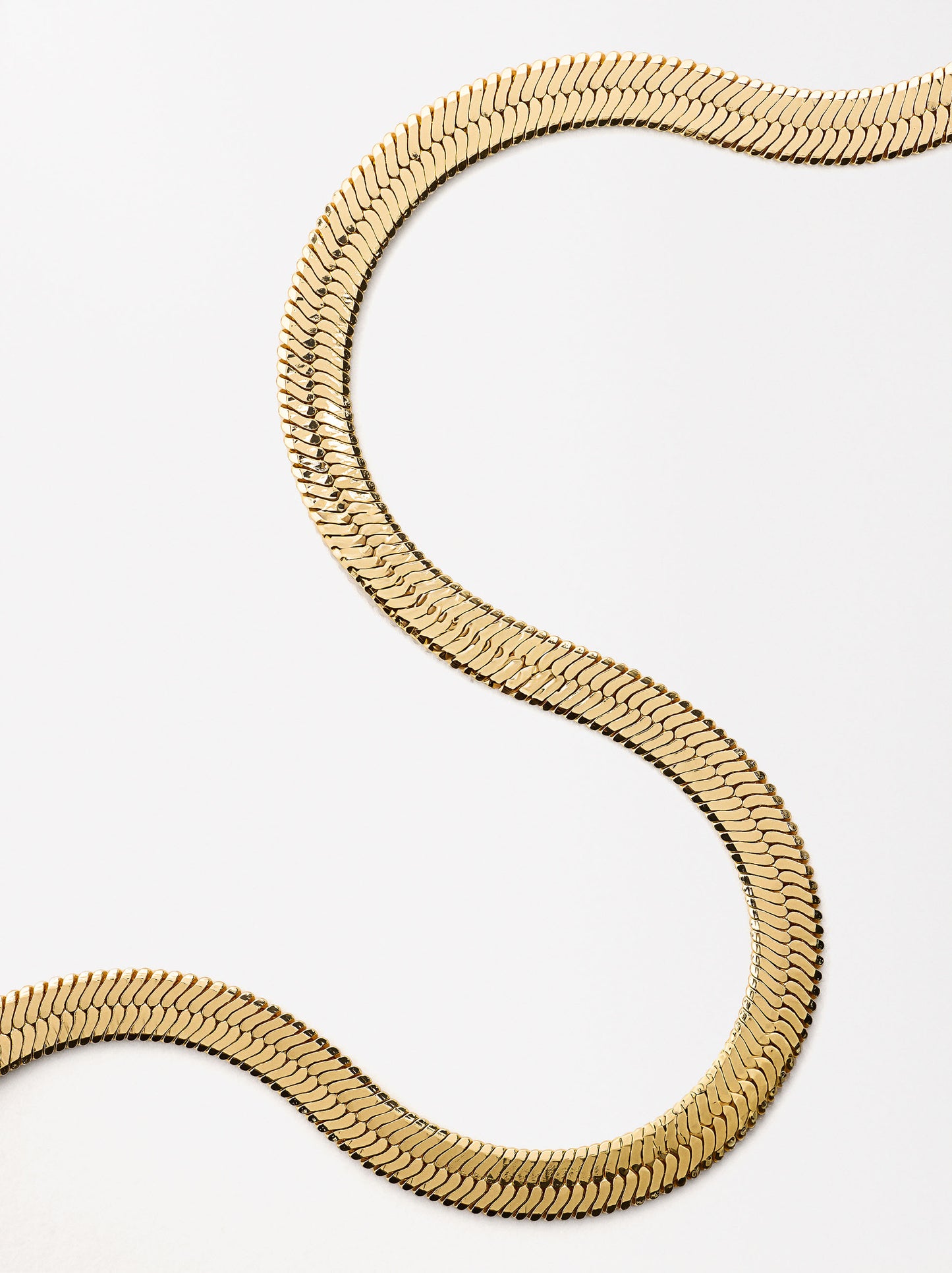 Short Necklace With Snake Chain
