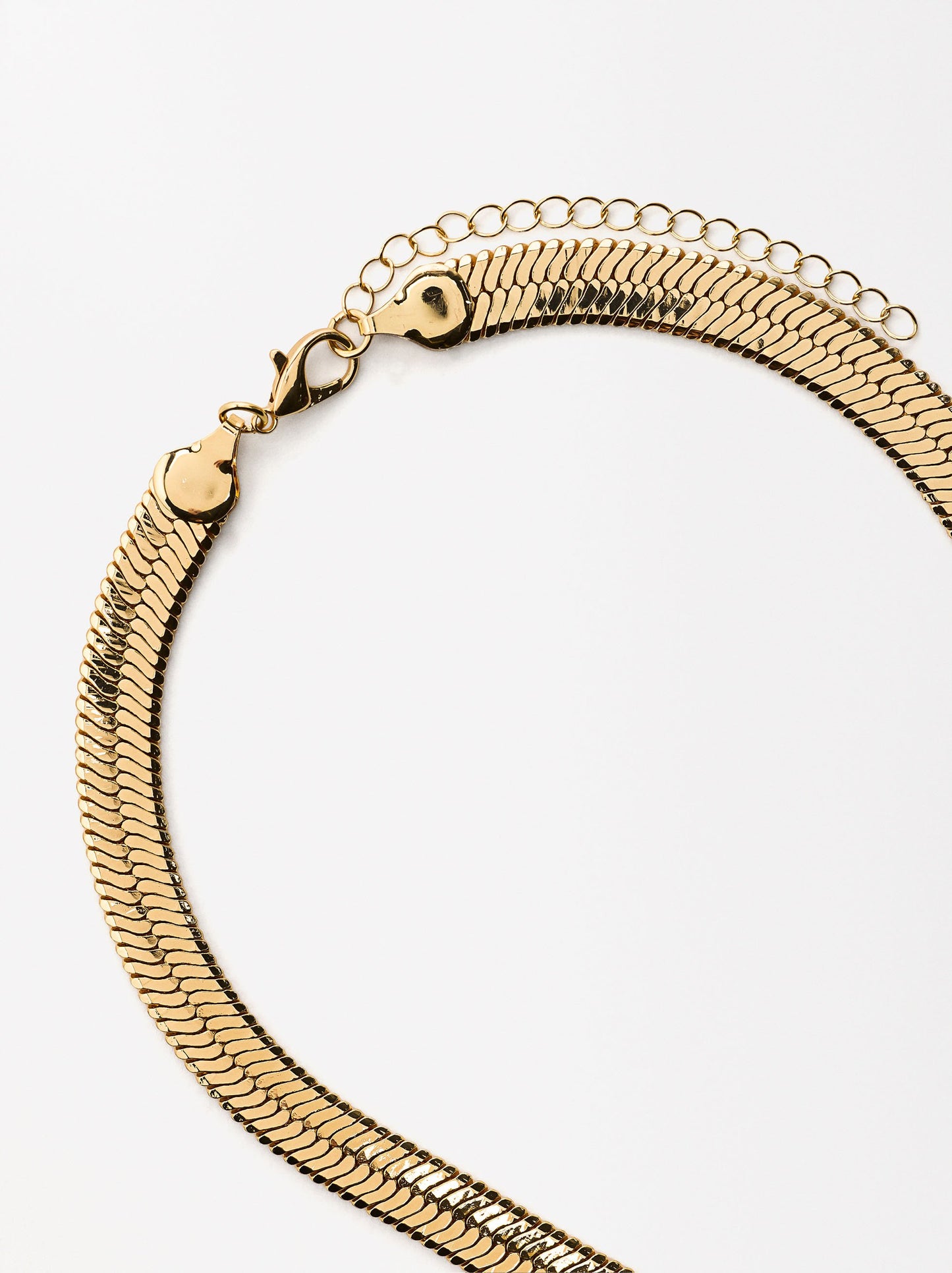 Short Necklace With Snake Chain