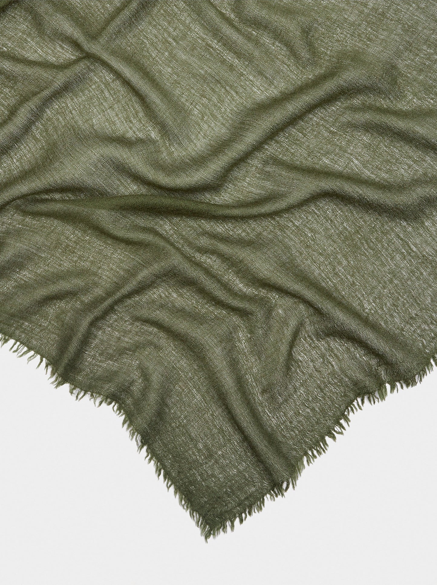 Pane Pashmina