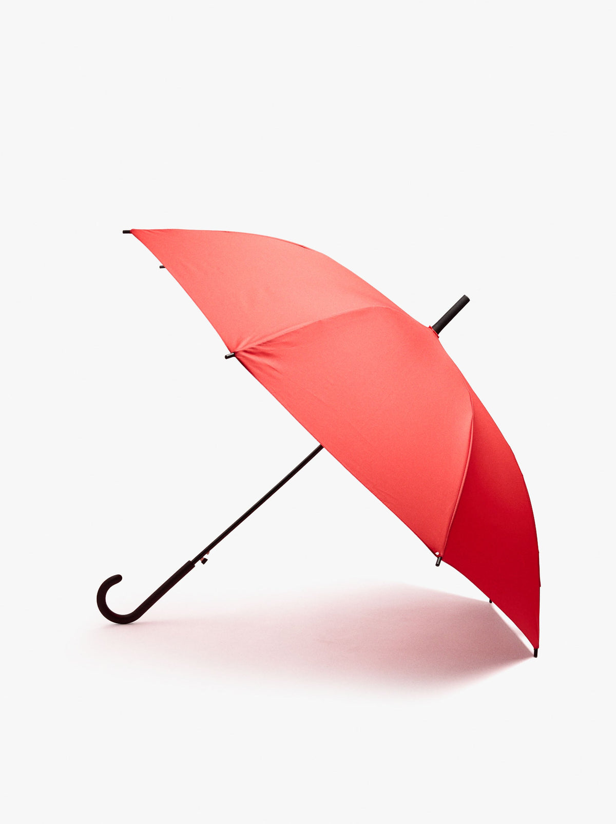 Large Umbrella