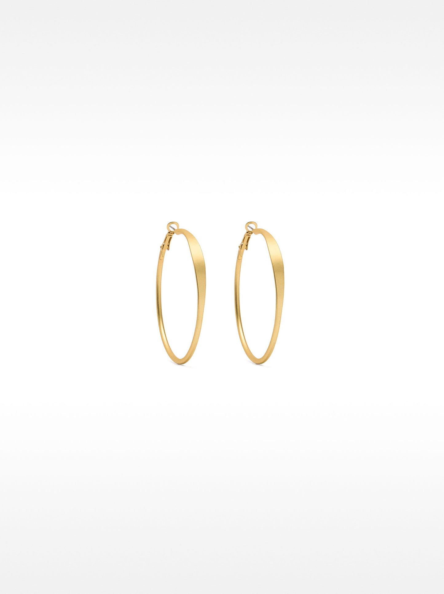Basic Medium Hoop Earrings