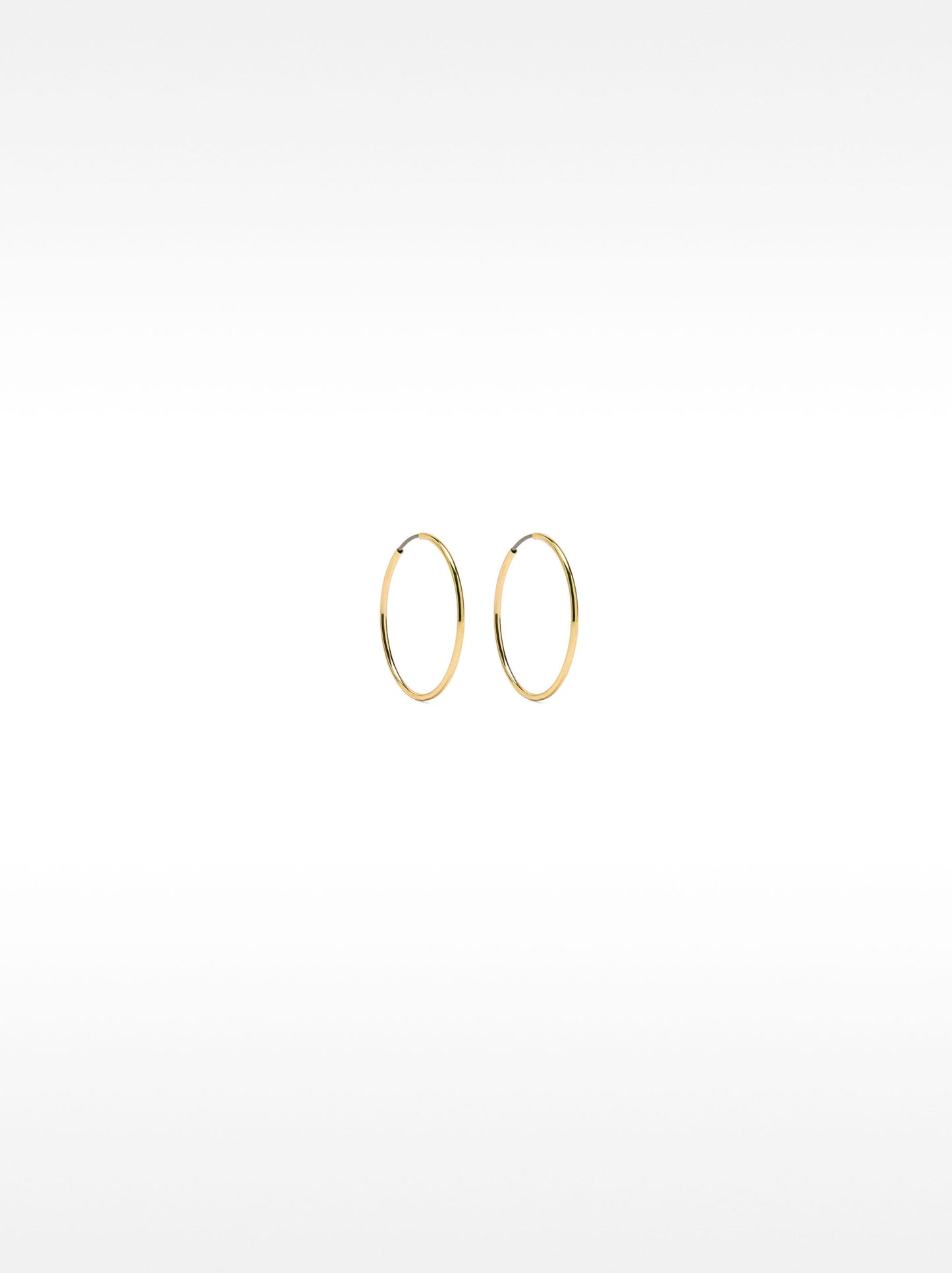 Small Gold Hoop Earrings