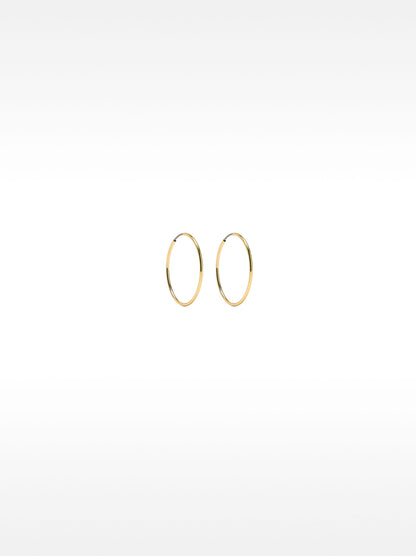 Small Gold Hoop Earrings