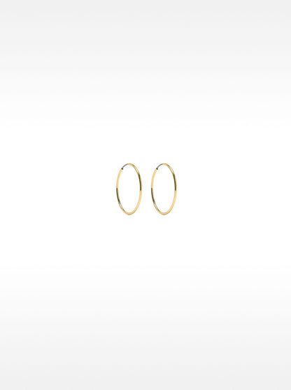 Small Gold Hoop Earrings