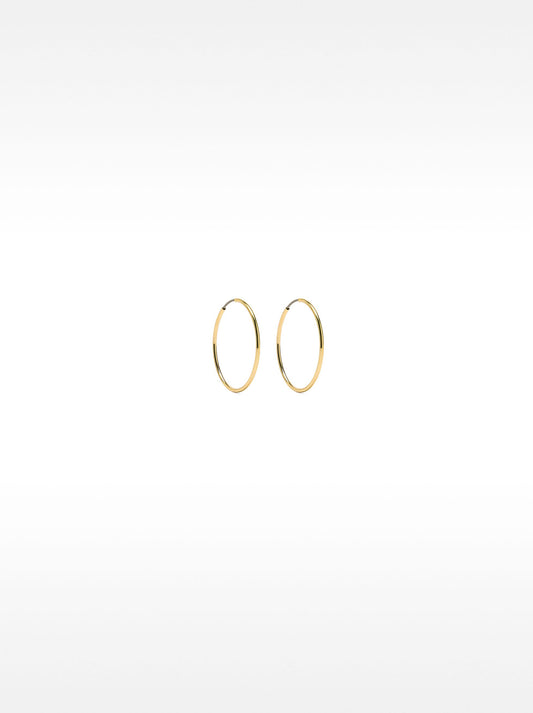 Small Gold Hoop Earrings