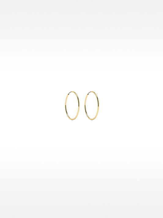 Small Gold Hoop Earrings