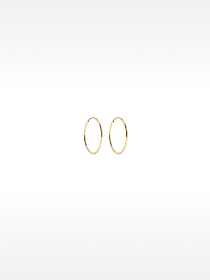 Small Gold Hoop Earrings