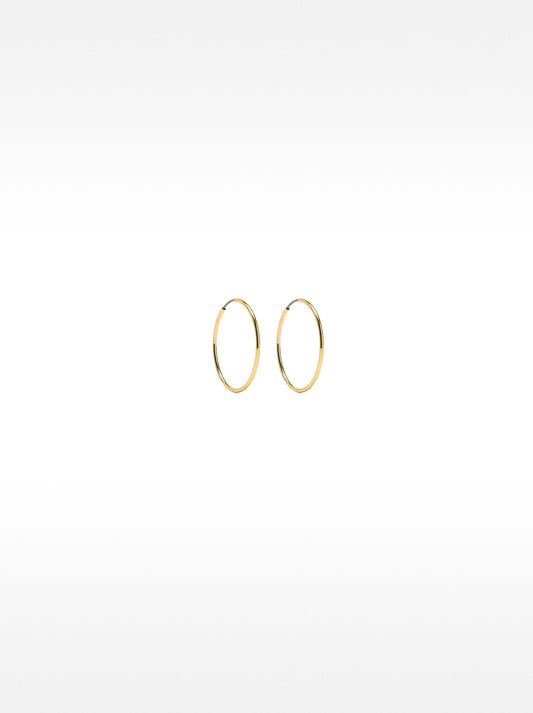 Small Gold Hoop Earrings
