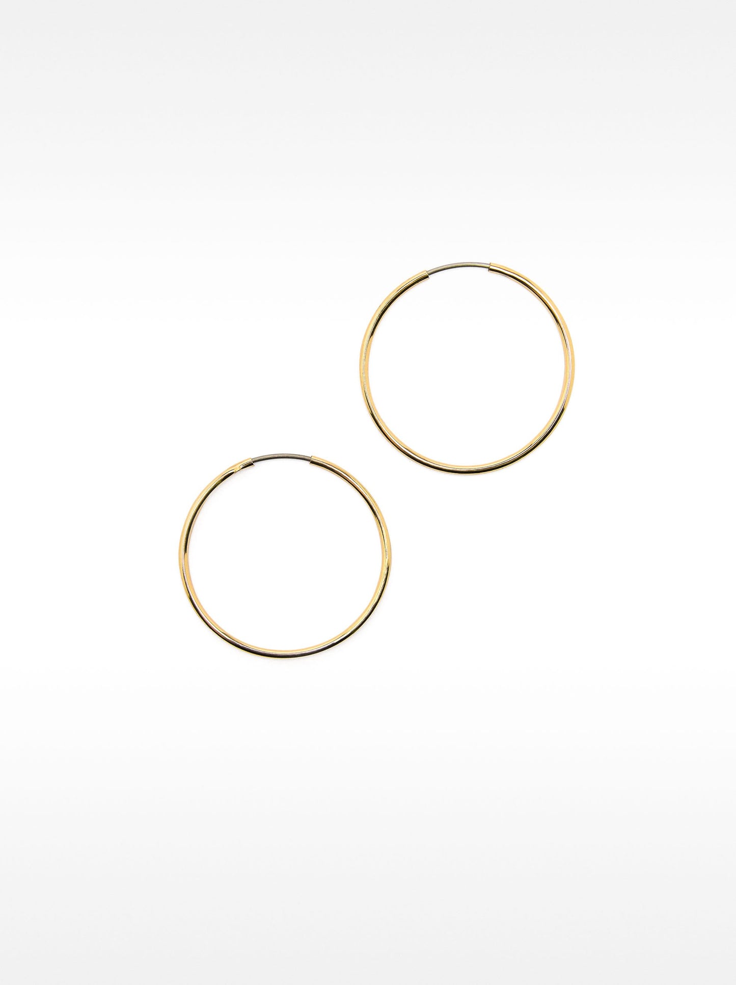 Small Gold Hoop Earrings