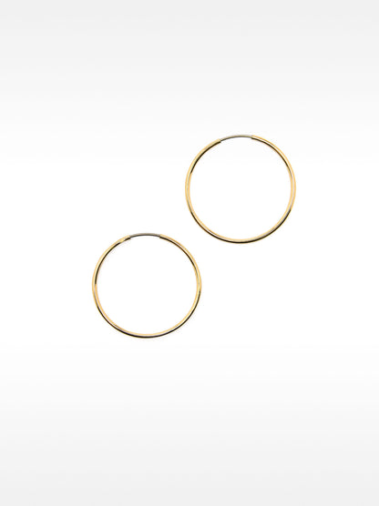 Small Gold Hoop Earrings
