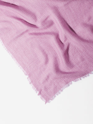 Plain Pashmina With Frayed Detailing