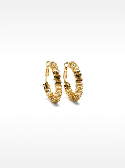 Golden Irregular Hoop Earrings