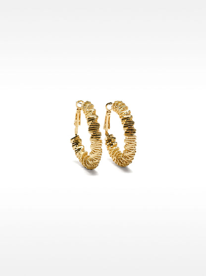 Golden Irregular Hoop Earrings