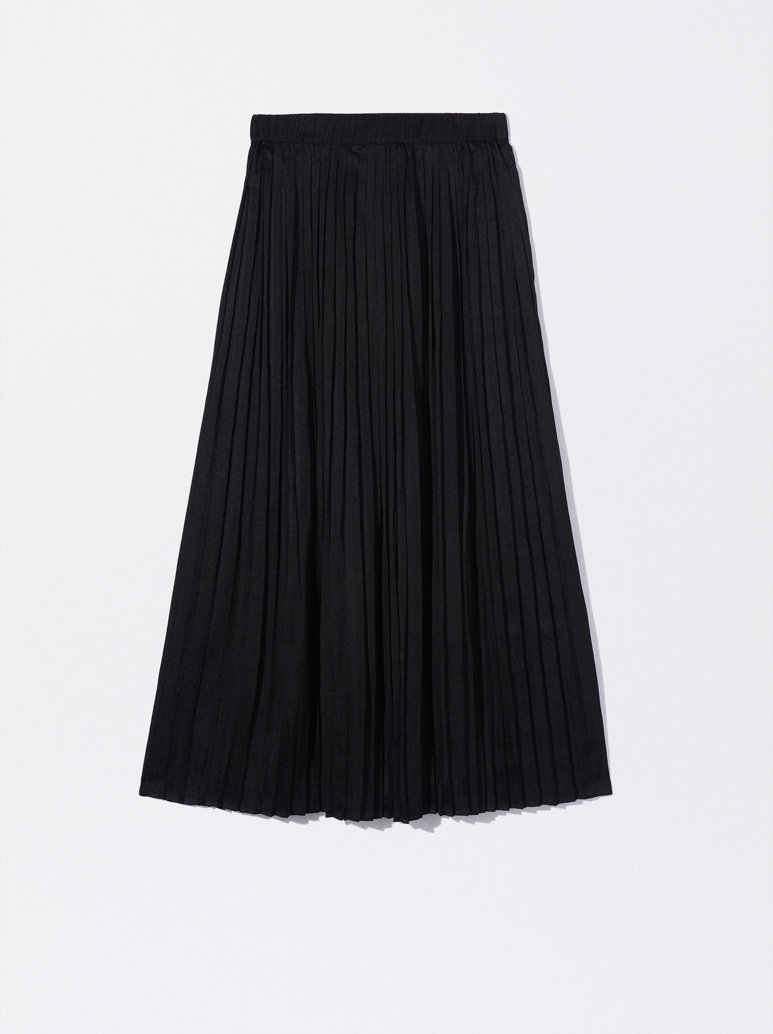 Long Pleated Skirt