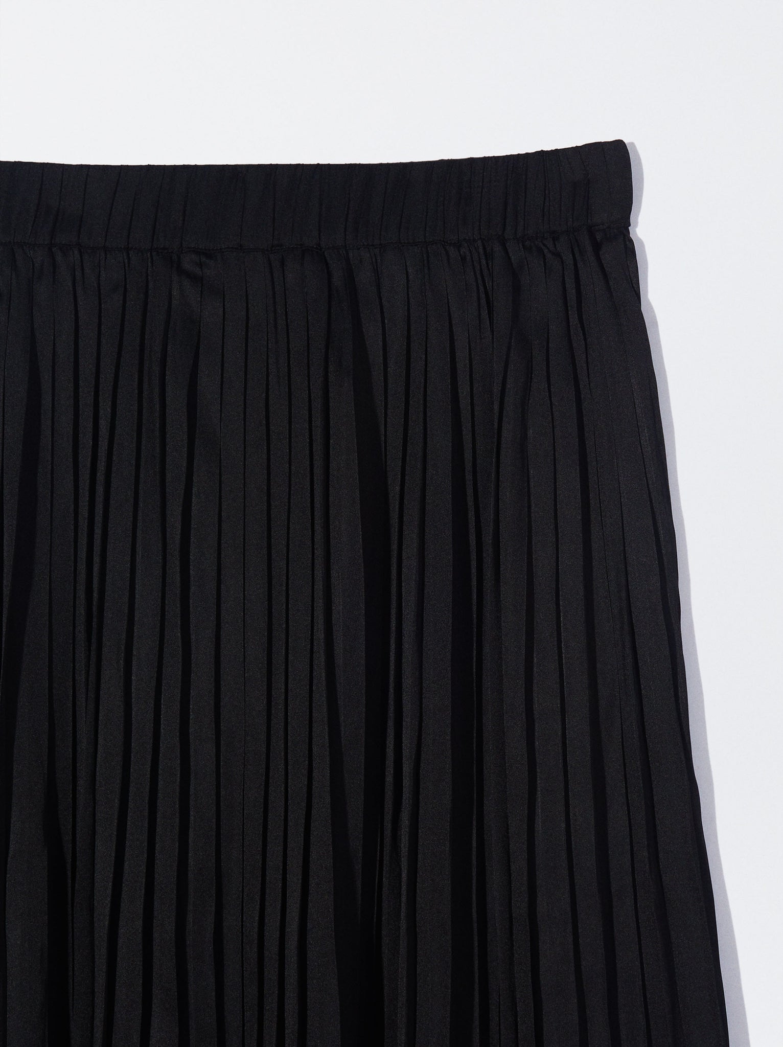 Long Pleated Skirt