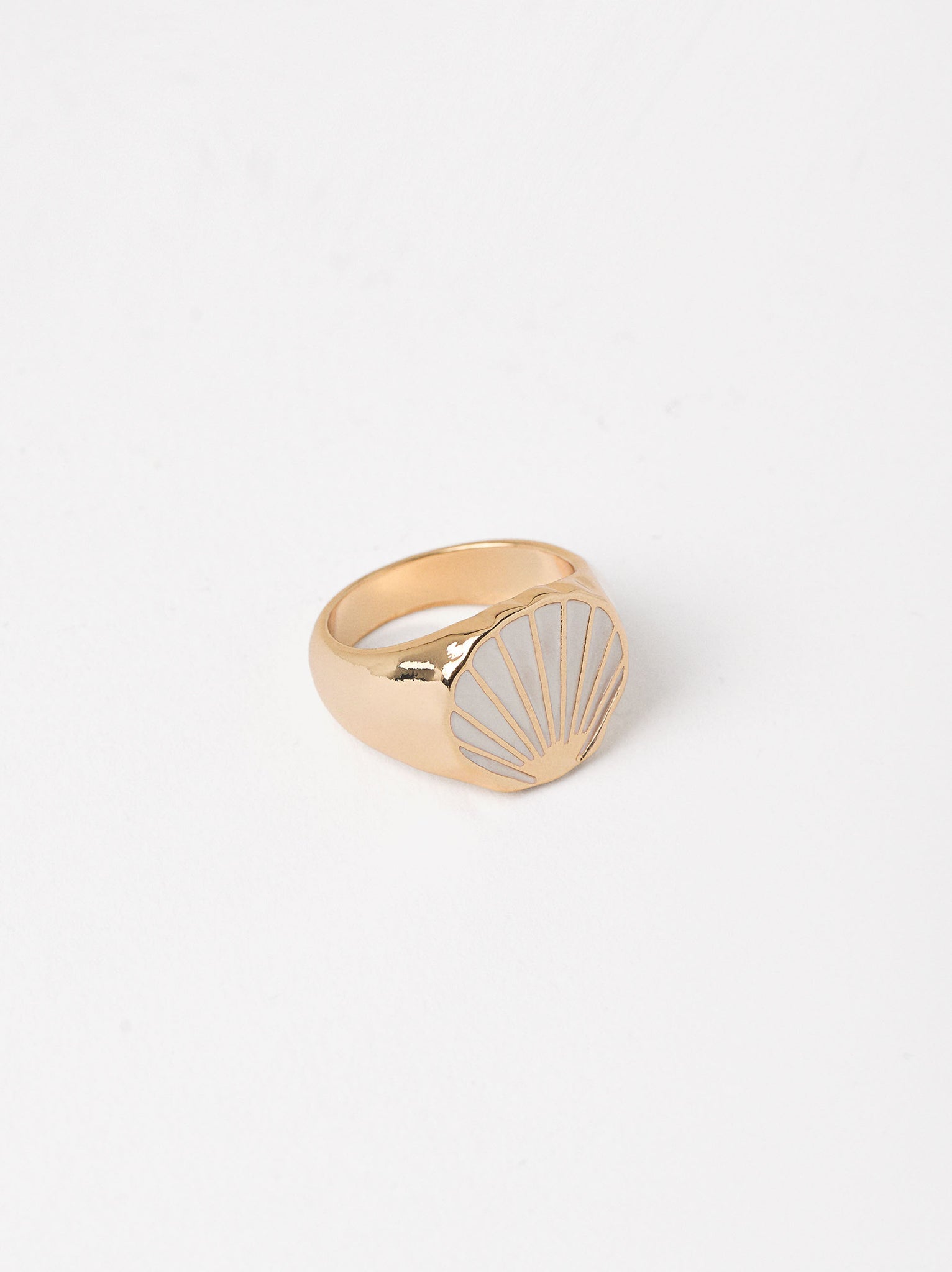 Shell Ring