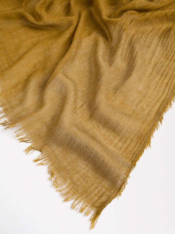 Plain Pashmina With Frayed Detailing