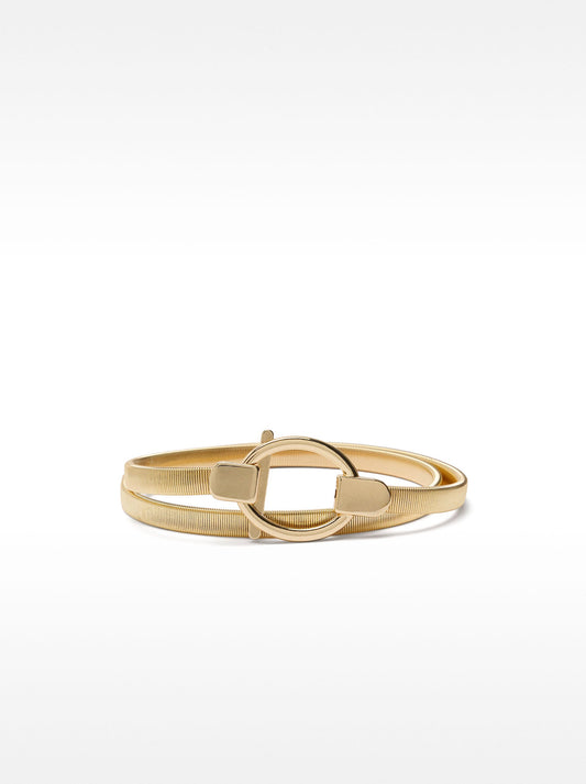 Golden Metal Belt