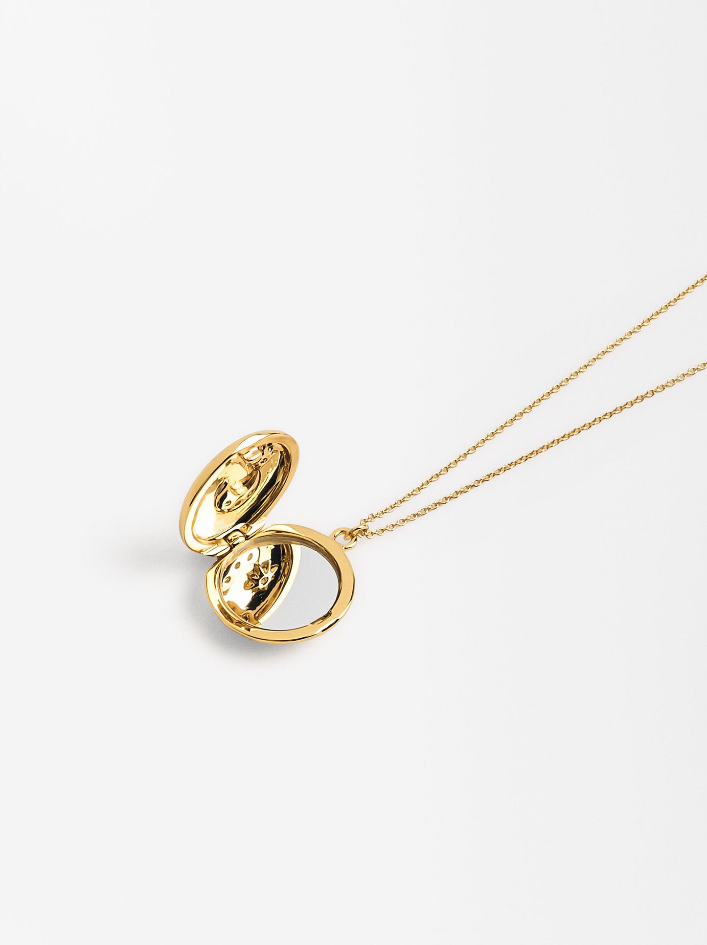 Relic Medal Necklace With Zirconias And 18k Gold Plating