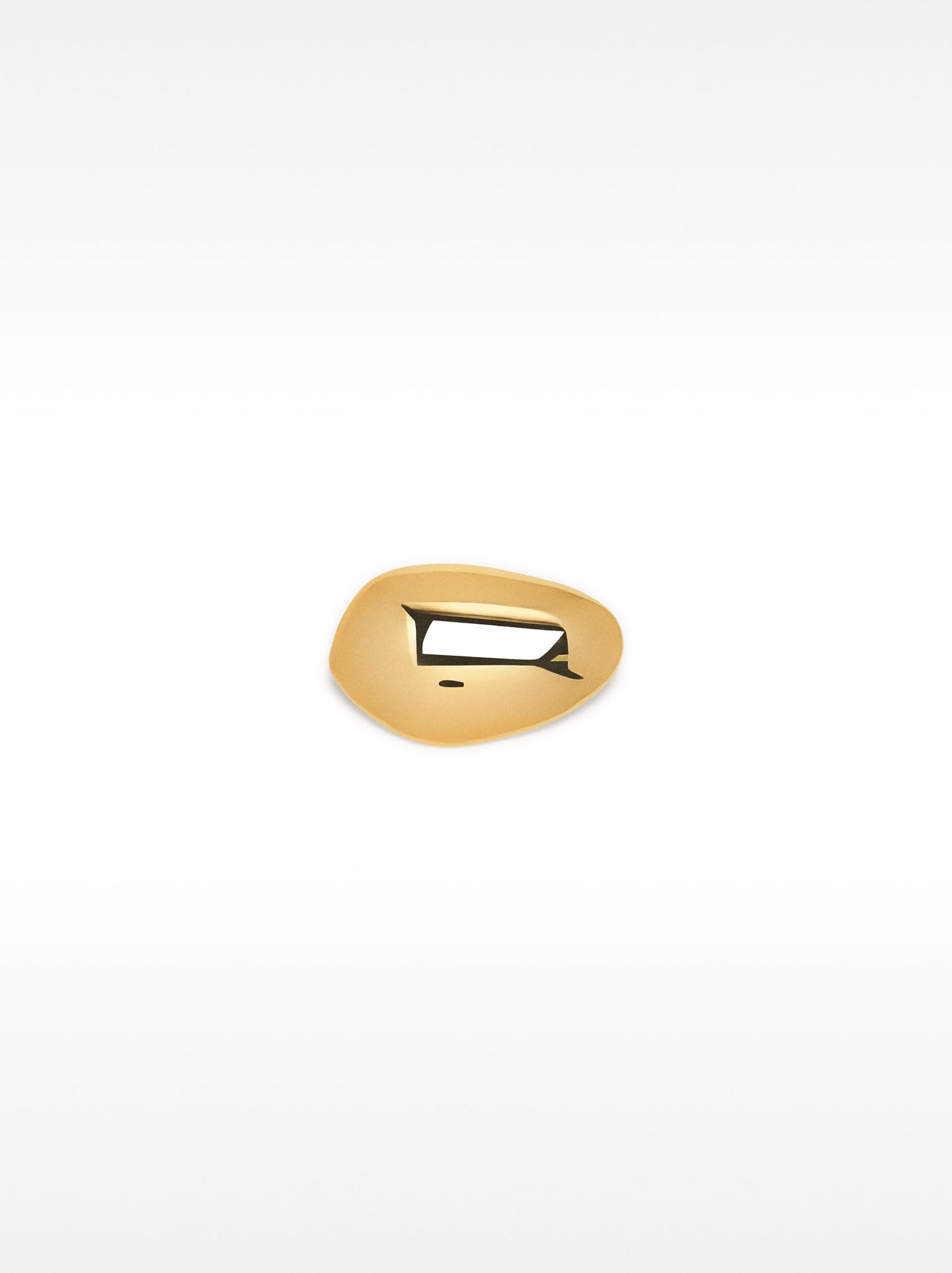 Oval Brooch