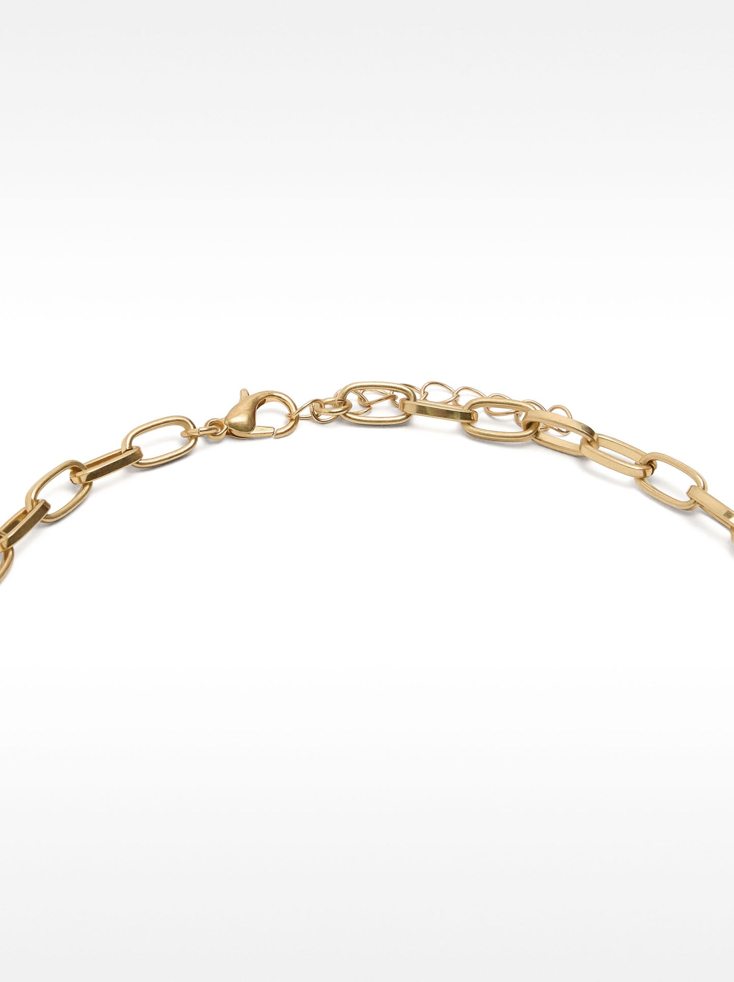 Long Chain Necklace With Shell