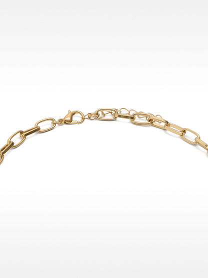 Long Chain Necklace With Shell