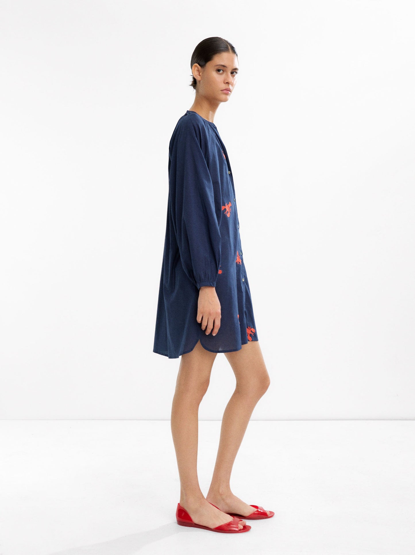 Dress With 100% Cotton Embroidery