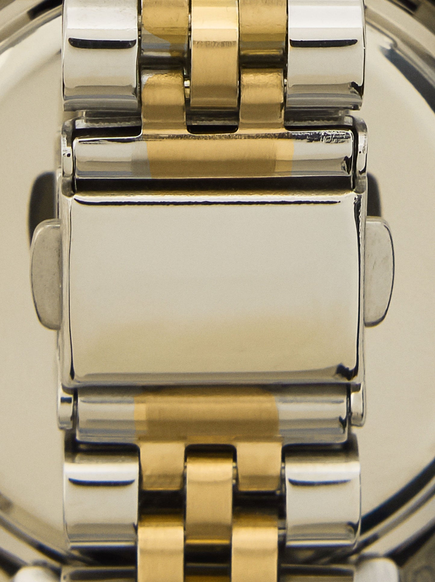 Bicolor Watch With Stainless Steel Bracelet