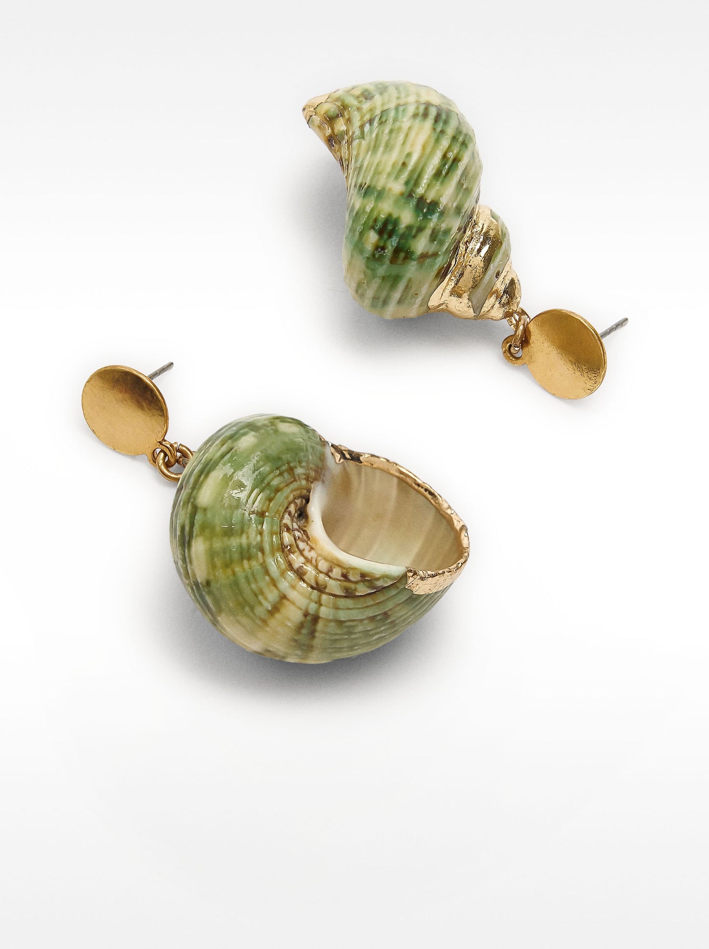 Earrings With Shells