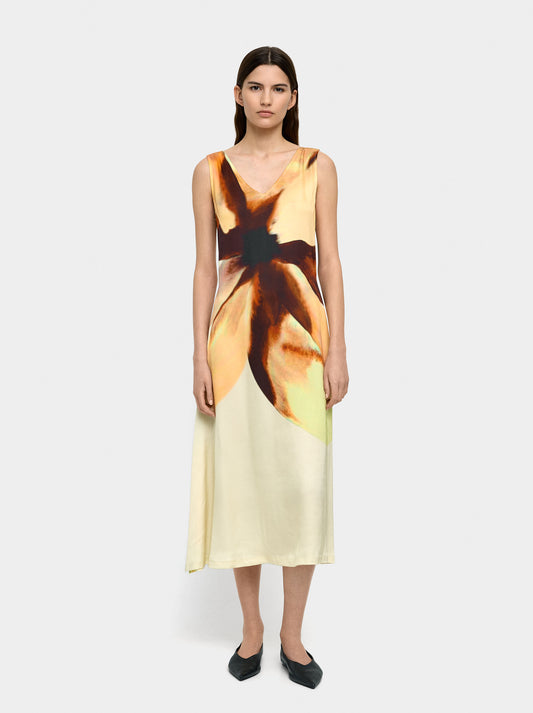 Printed Floral Midi Dress