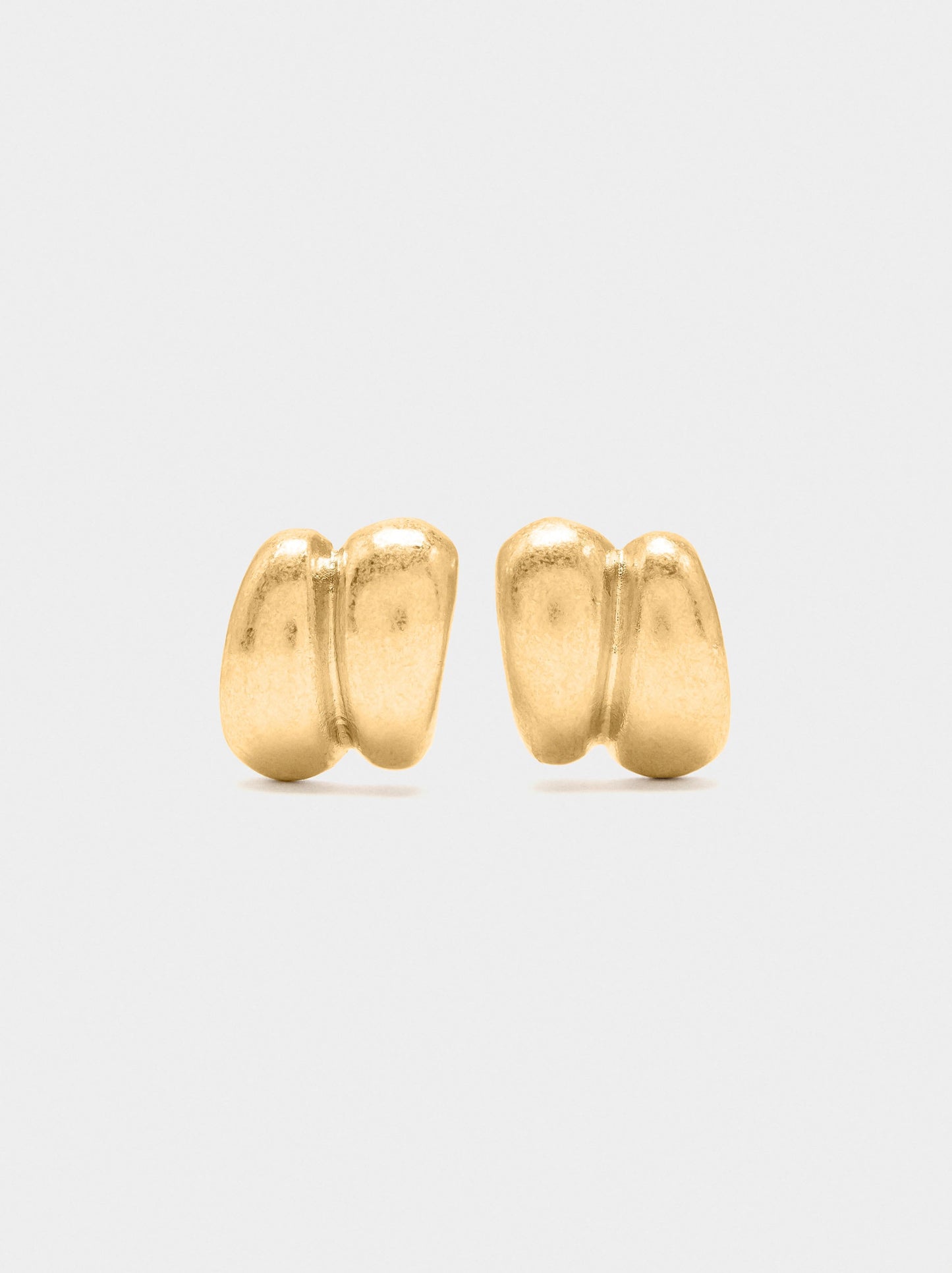Earrings With Double Effect