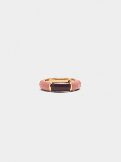 Segmented Ring With Enamel