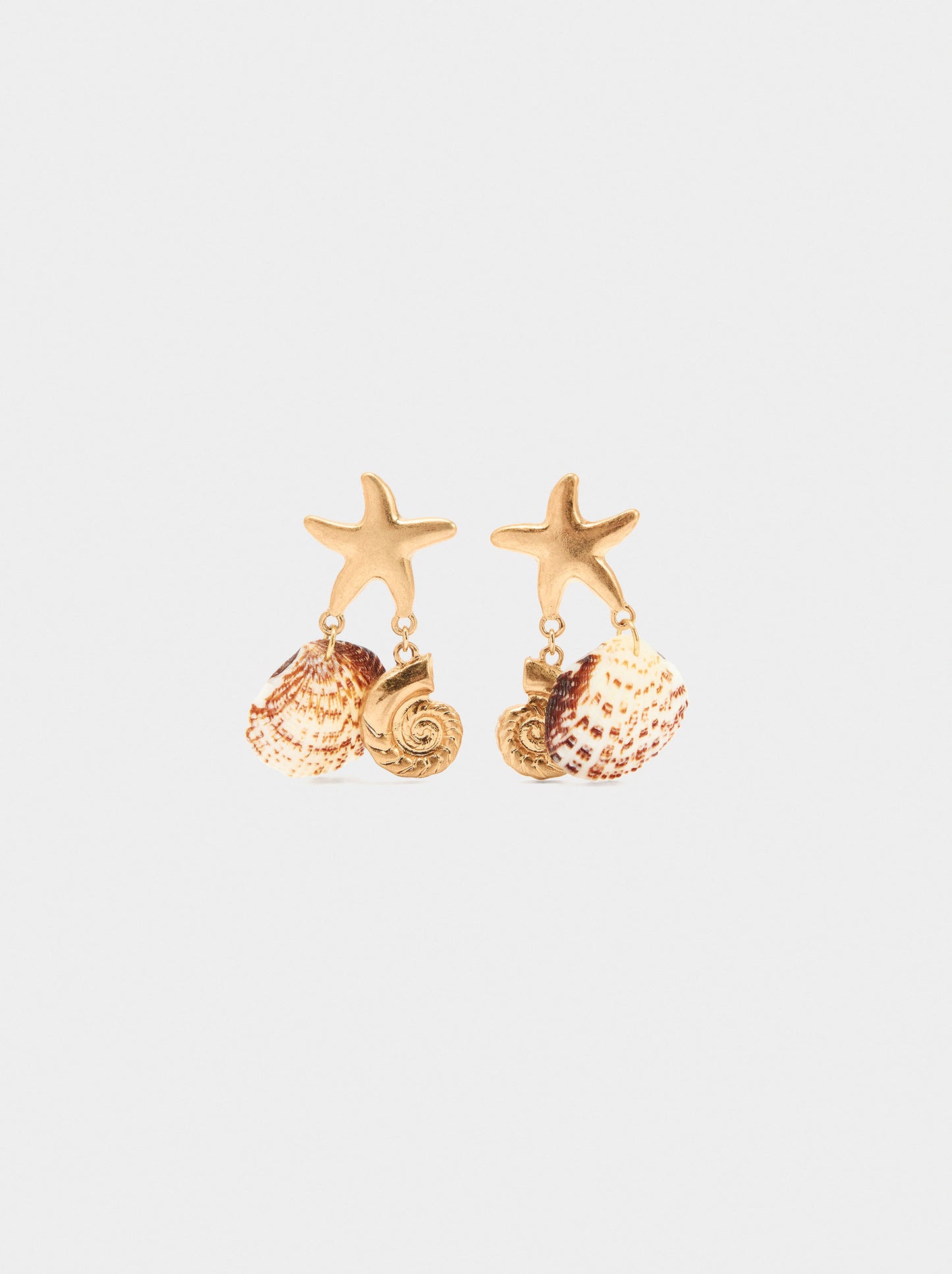 Starfish Earrings With Shells