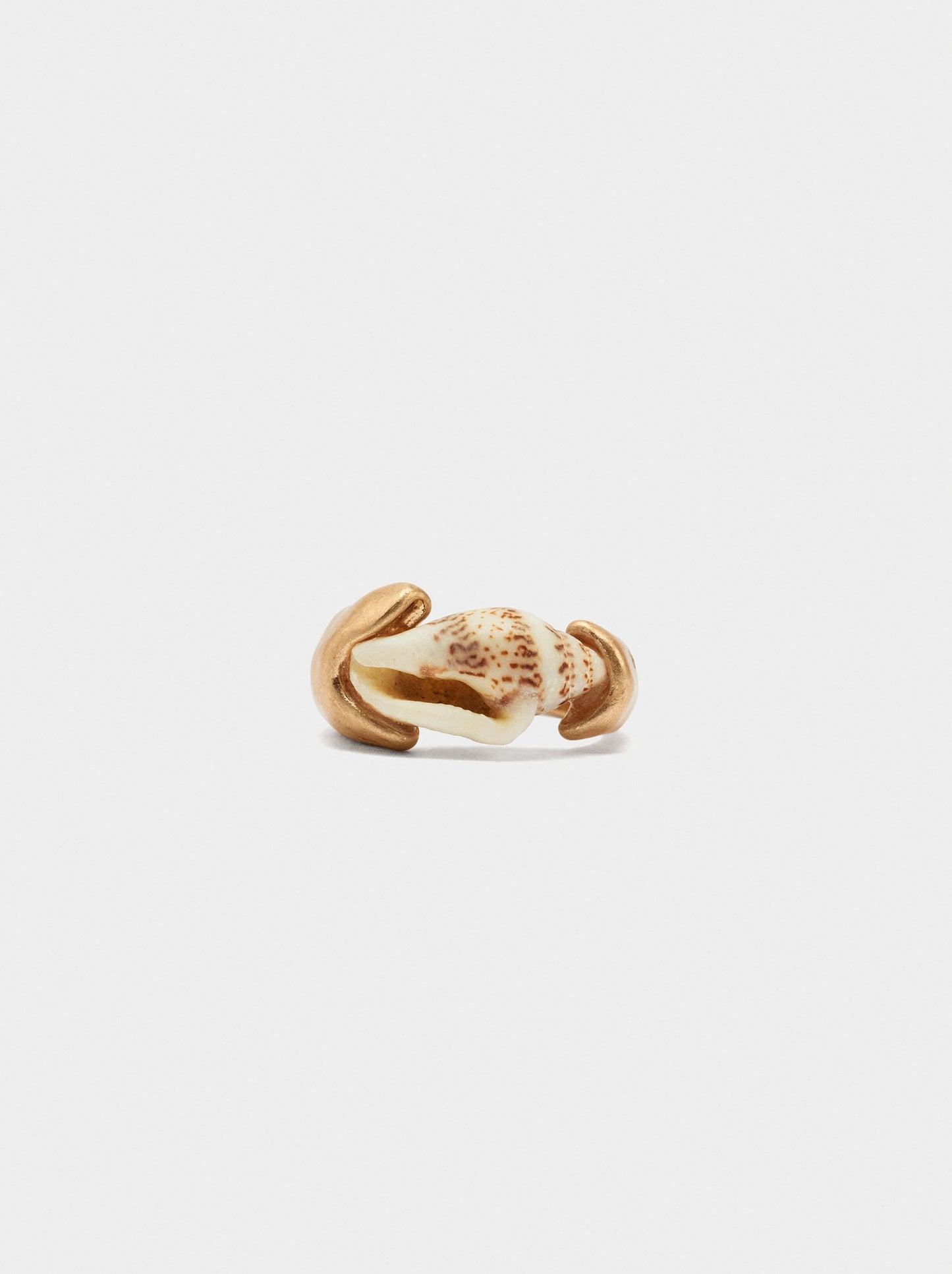 Ring With Shell