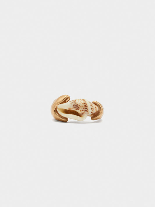 Ring With Shell