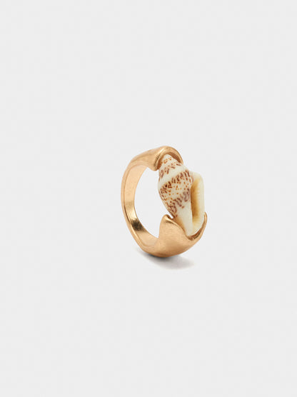 Ring With Shell