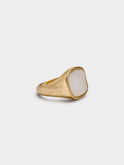 Signet Ring With Shell For Little Finger