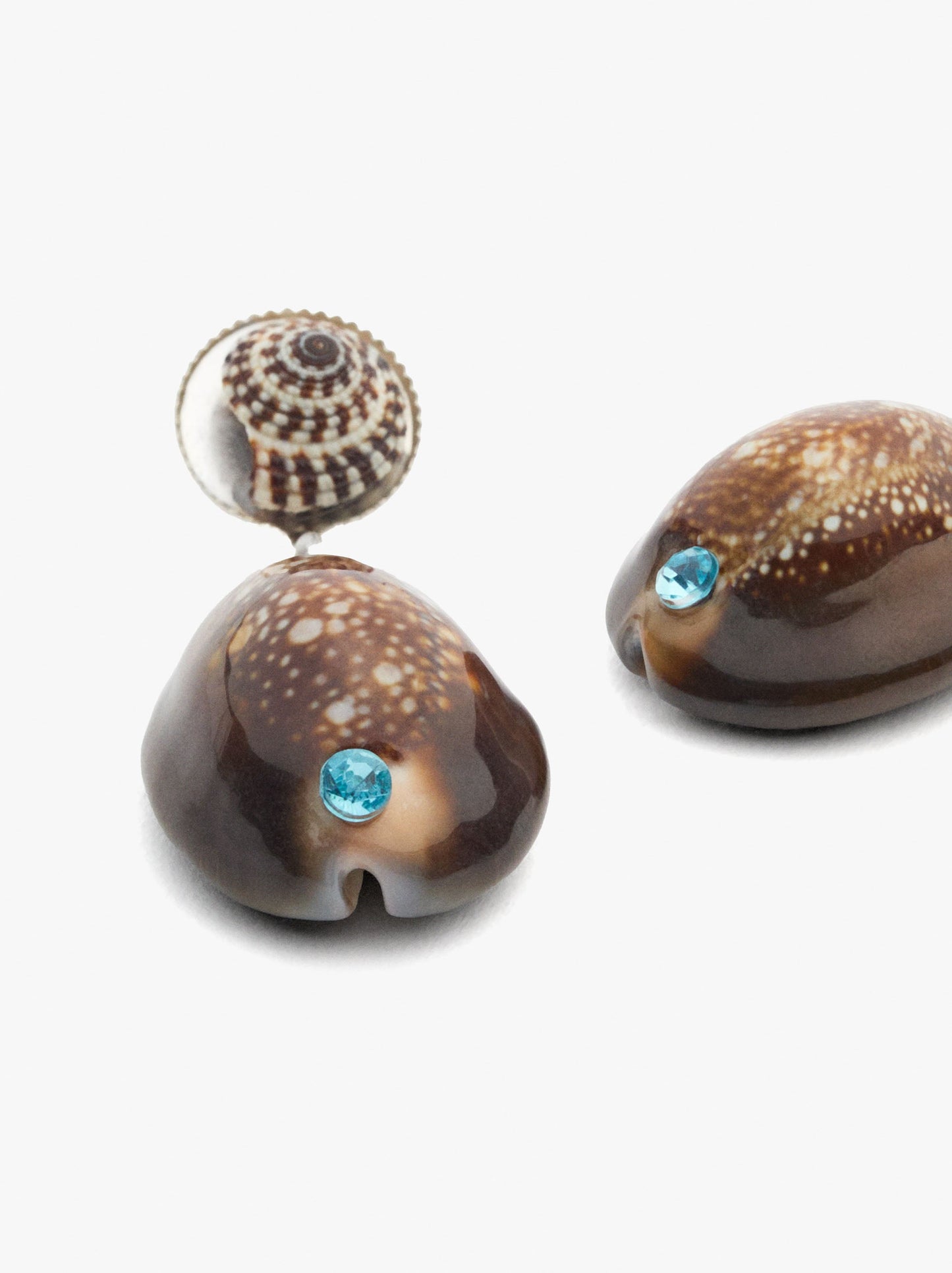 Earrings With Shells