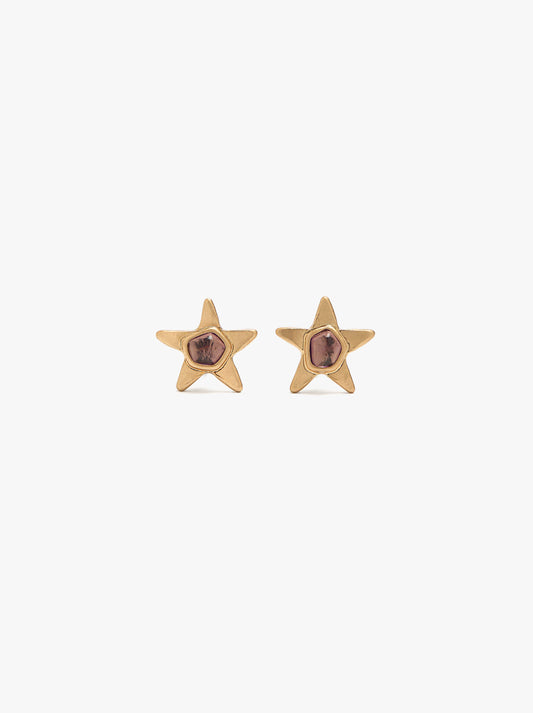 Star Earrings With Stone