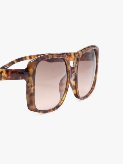 Square Sunglasses