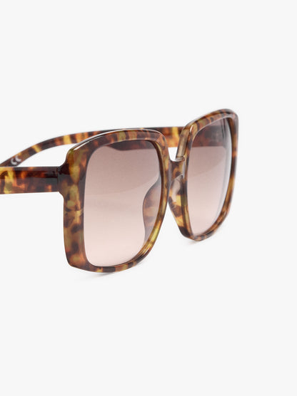 Square Sunglasses