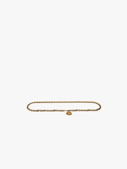 Metal Belt With Links