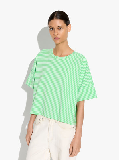 Cotton T-Shirt With Stripes