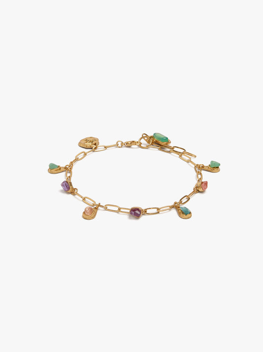 Ankle Bracelet Of Links With Stones