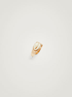 Hoop Earrings With Shell