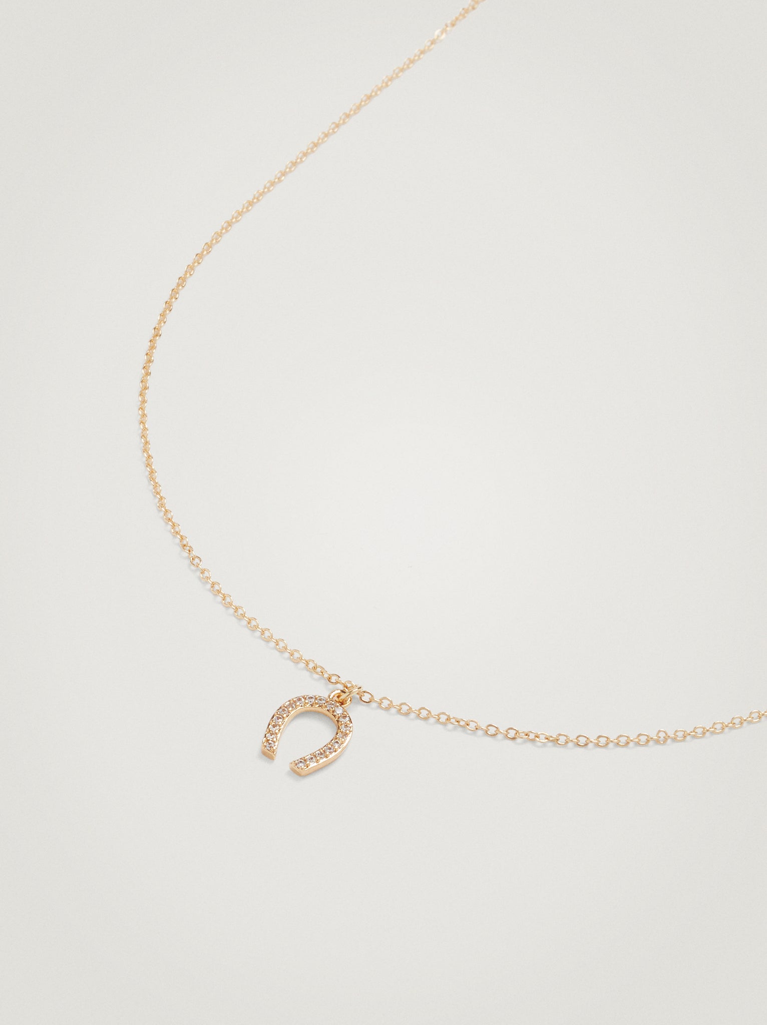 Golden Necklace With Horn