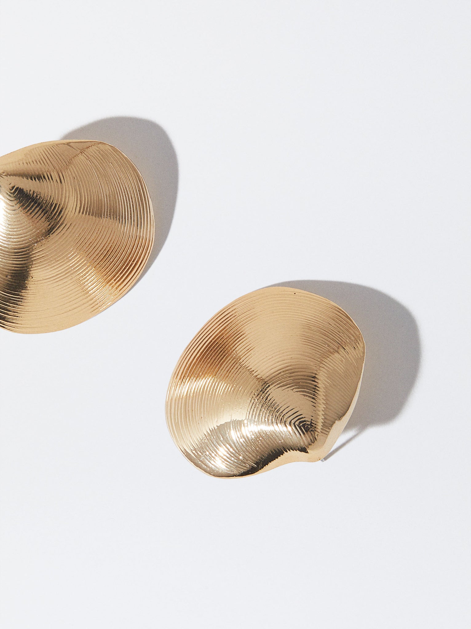 Shell Earrings