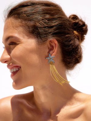 Star Earrings And Zirconia